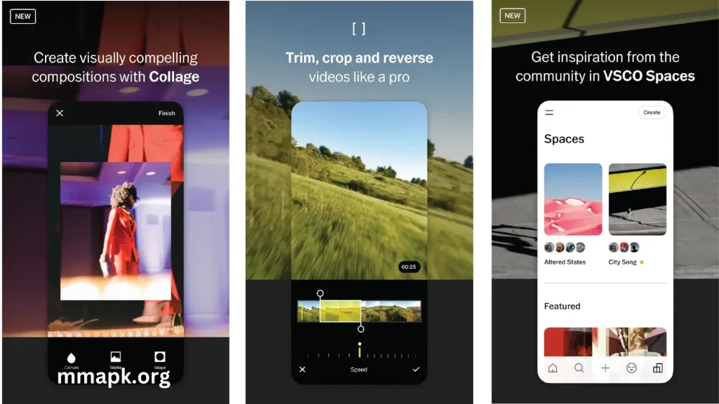 VSCO MOD APK