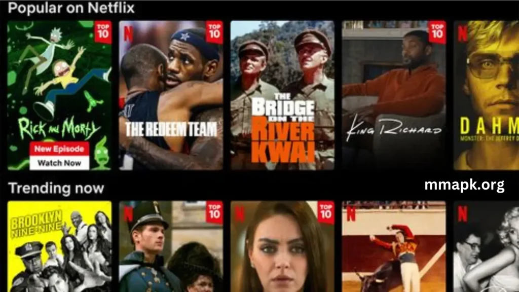 Netflix Mirror MOD APK