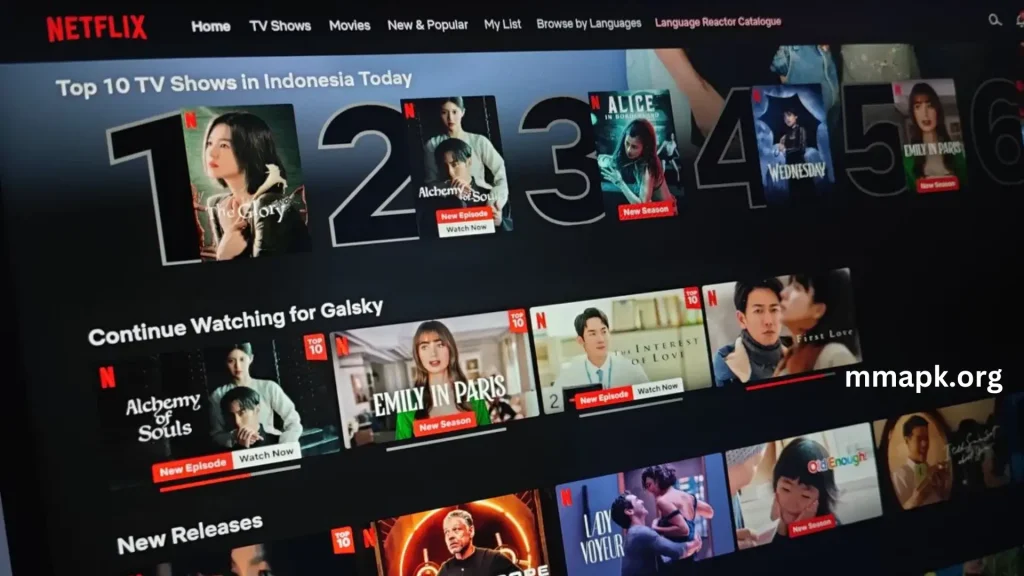 Netflix Mirror MOD APK